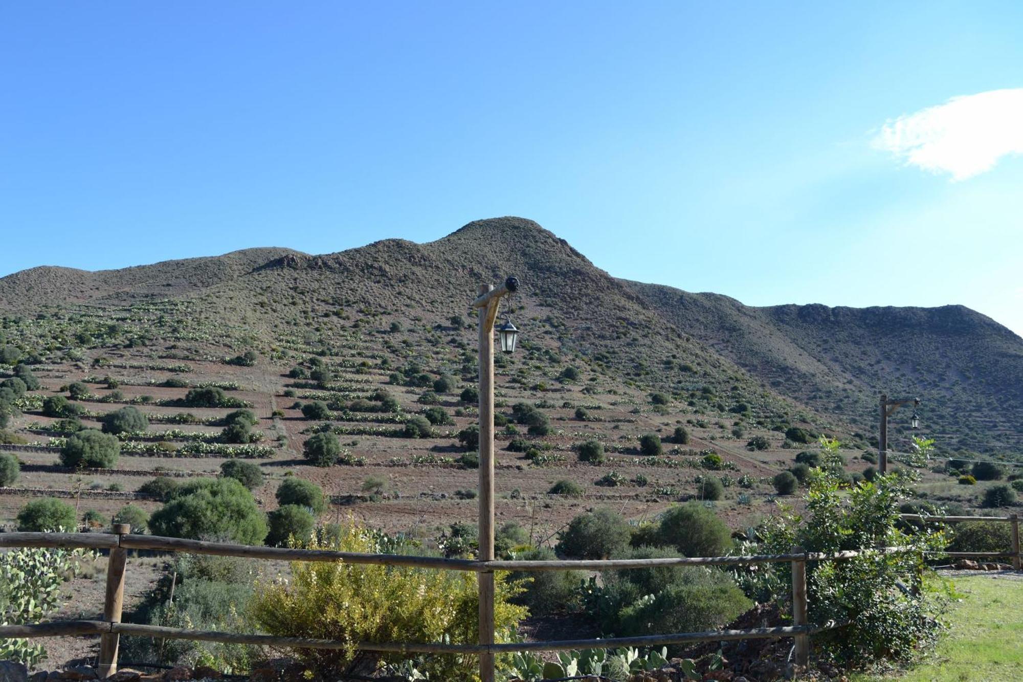 Casas Rurales La Minilla Los Albaricoques Bagian luar foto