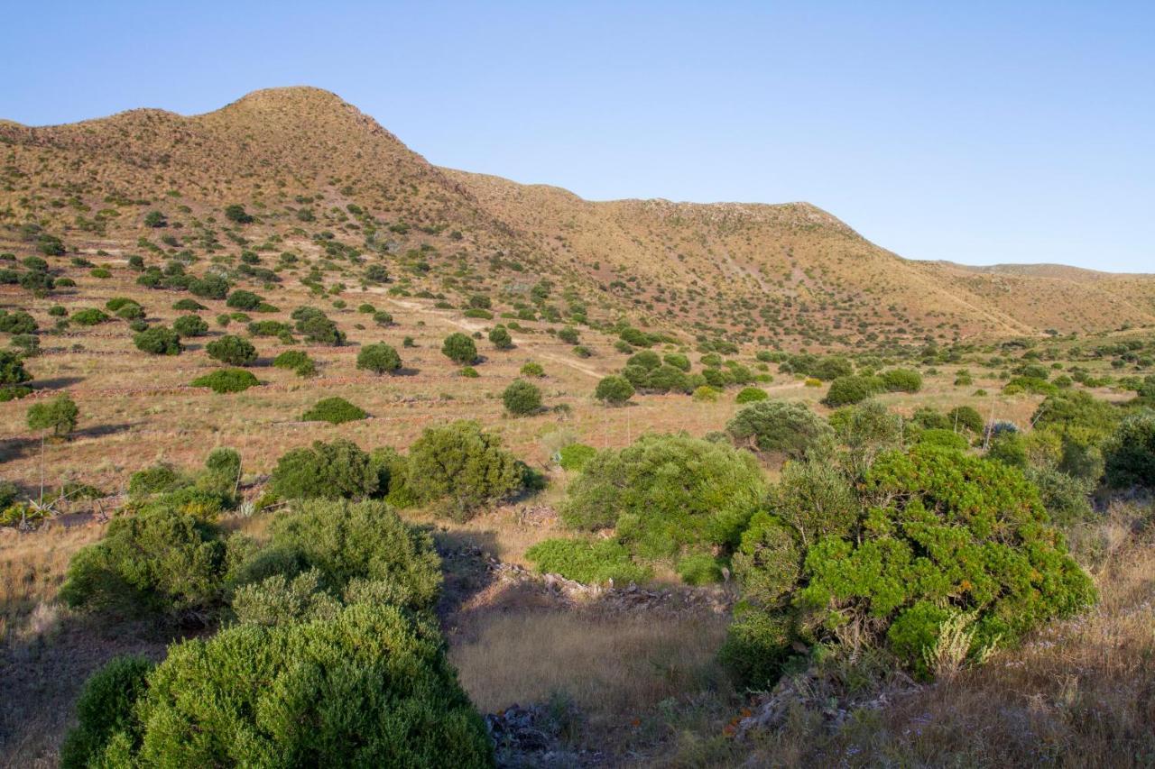 Casas Rurales La Minilla Los Albaricoques Bagian luar foto