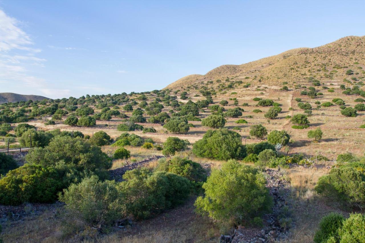 Casas Rurales La Minilla Los Albaricoques Bagian luar foto